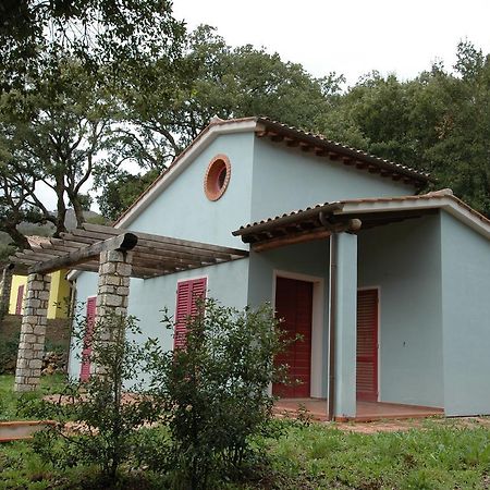 Villaggio Di Mezzo Ortano Rio Marina Rum bild