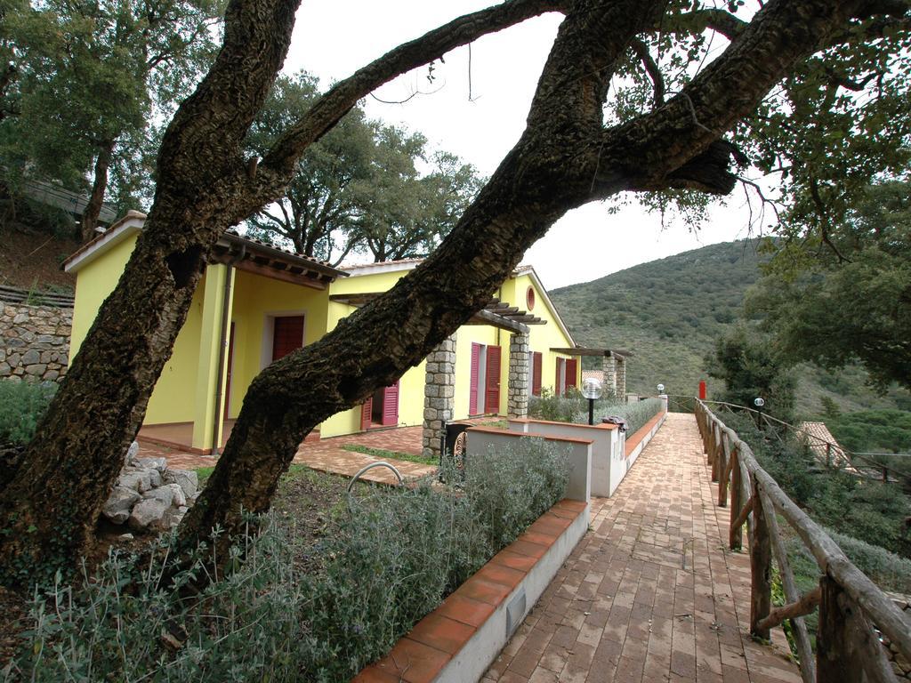 Villaggio Di Mezzo Ortano Rio Marina Rum bild